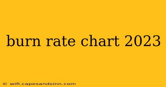 burn rate chart 2023