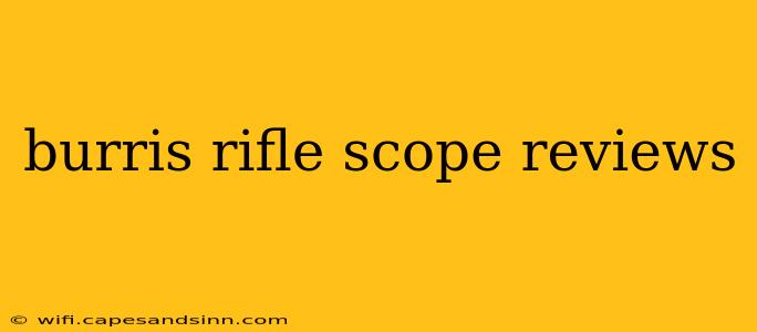 burris rifle scope reviews