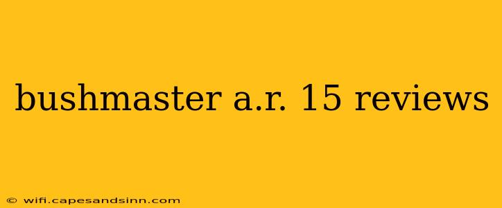 bushmaster a.r. 15 reviews