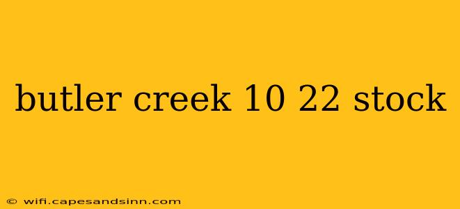 butler creek 10 22 stock