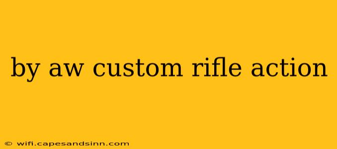 by aw custom rifle action