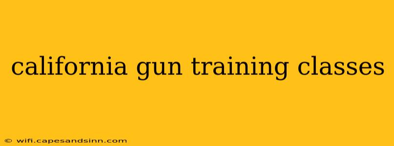 california gun training classes