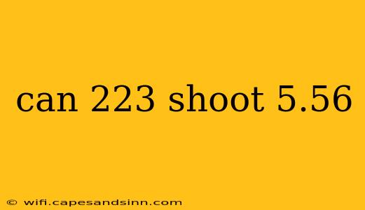 can 223 shoot 5.56