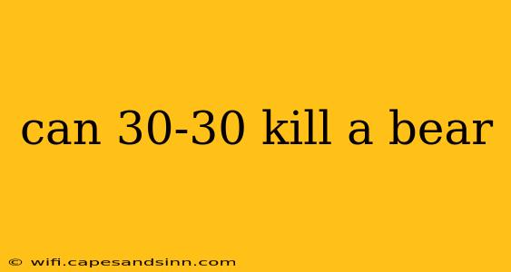 can 30-30 kill a bear