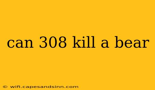 can 308 kill a bear