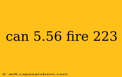 can 5.56 fire 223