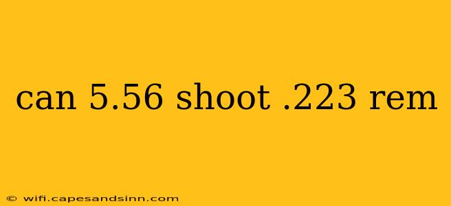 can 5.56 shoot .223 rem