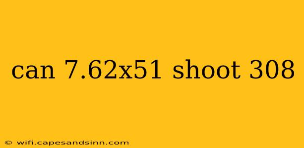 can 7.62x51 shoot 308