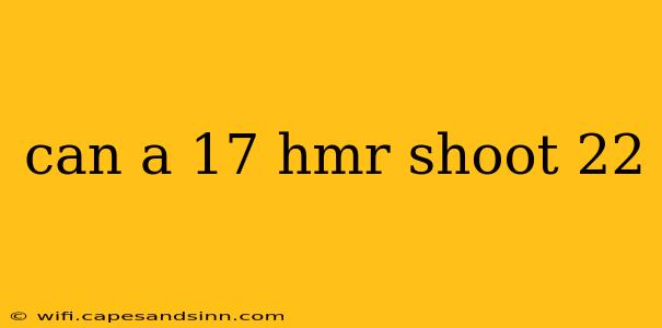 can a 17 hmr shoot 22