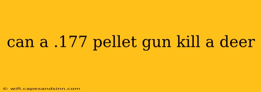 can a .177 pellet gun kill a deer