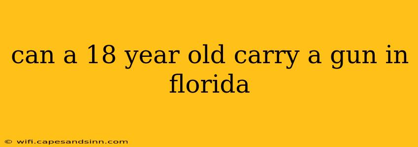 can a 18 year old carry a gun in florida