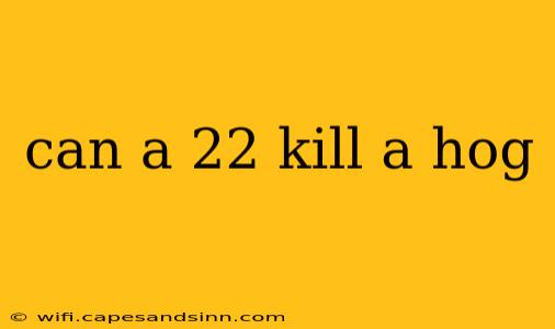 can a 22 kill a hog