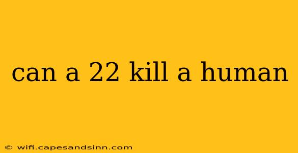 can a 22 kill a human