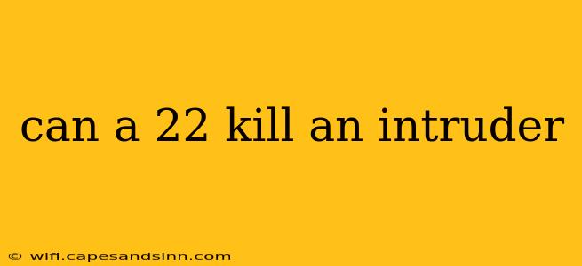 can a 22 kill an intruder