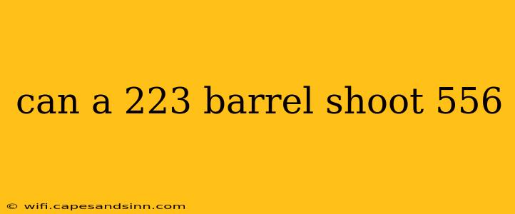 can a 223 barrel shoot 556