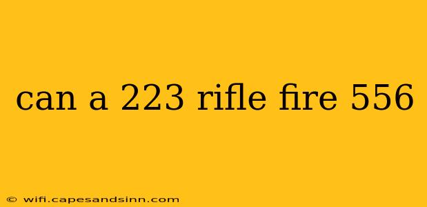 can a 223 rifle fire 556