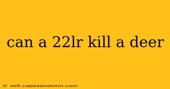 can a 22lr kill a deer