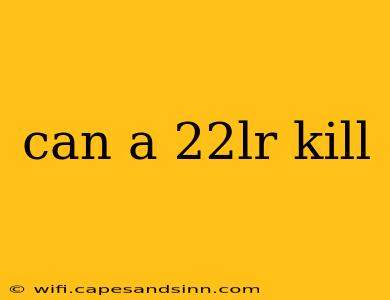 can a 22lr kill