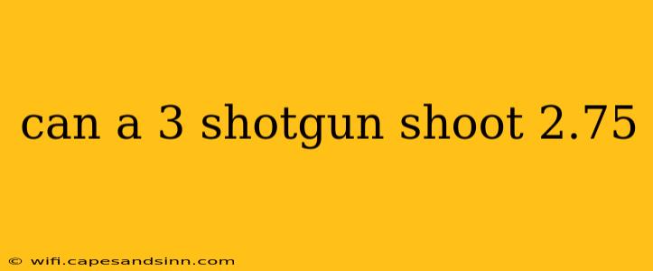 can a 3 shotgun shoot 2.75