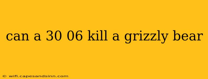 can a 30 06 kill a grizzly bear