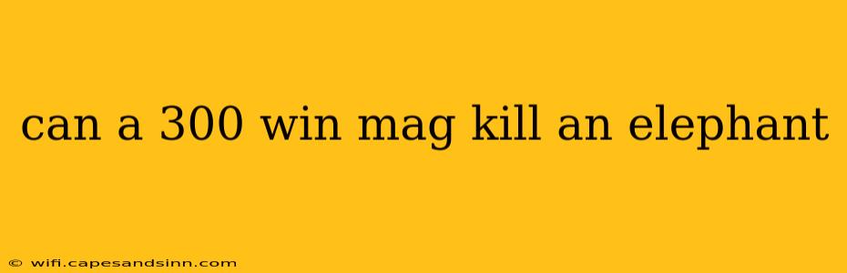 can a 300 win mag kill an elephant