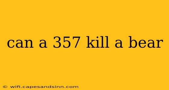 can a 357 kill a bear