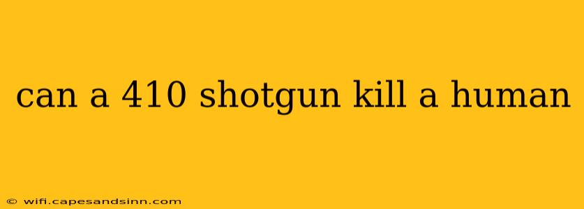 can a 410 shotgun kill a human