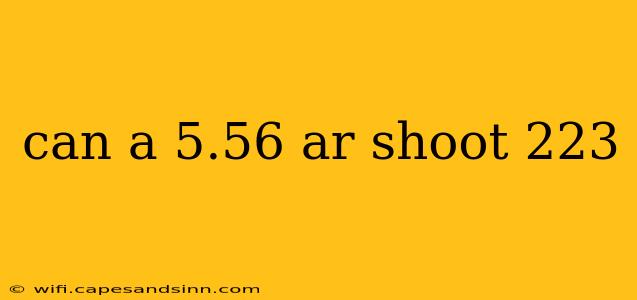 can a 5.56 ar shoot 223