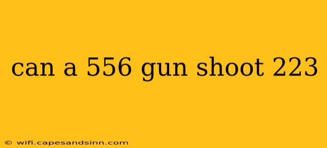 can a 556 gun shoot 223