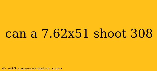 can a 7.62x51 shoot 308