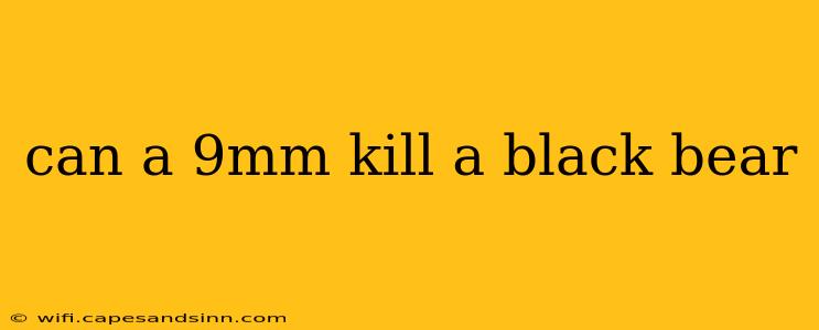 can a 9mm kill a black bear