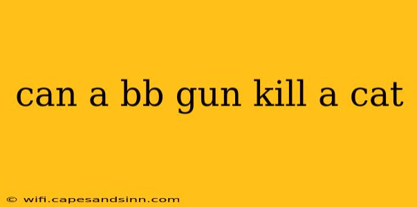 can a bb gun kill a cat