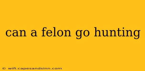 can a felon go hunting