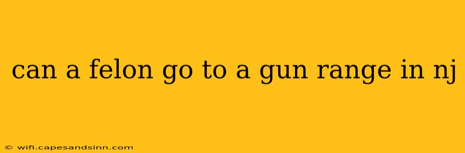 can a felon go to a gun range in nj