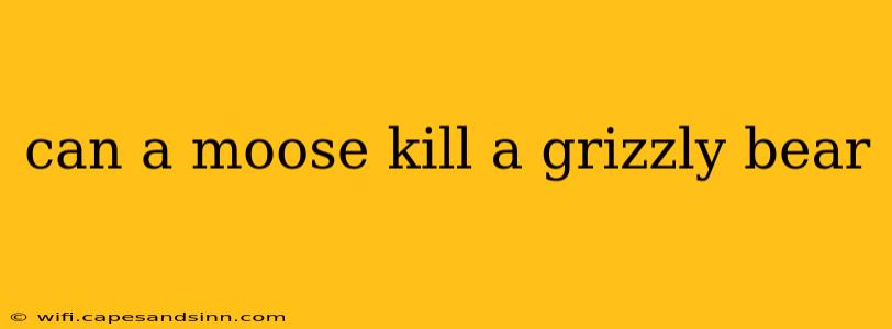 can a moose kill a grizzly bear