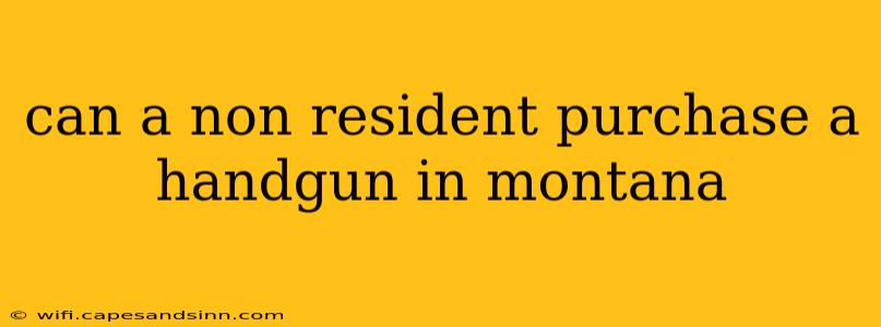 can a non resident purchase a handgun in montana