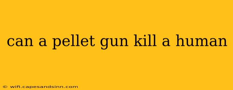 can a pellet gun kill a human