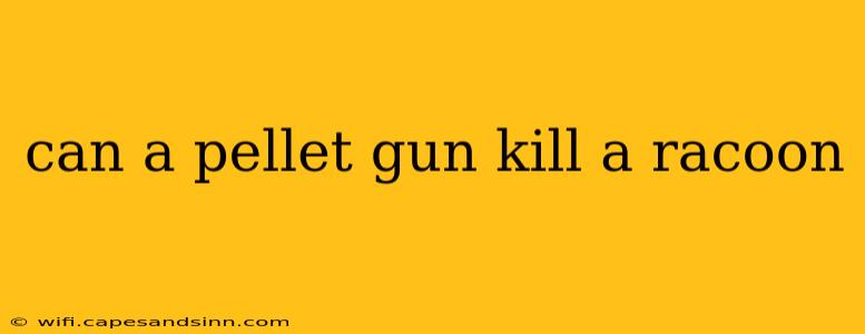 can a pellet gun kill a racoon