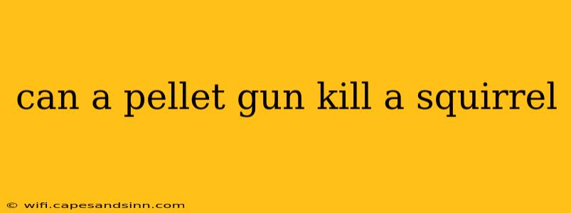 can a pellet gun kill a squirrel