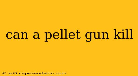 can a pellet gun kill