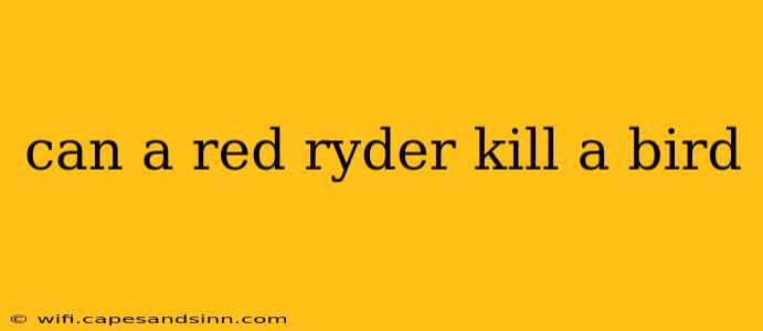 can a red ryder kill a bird