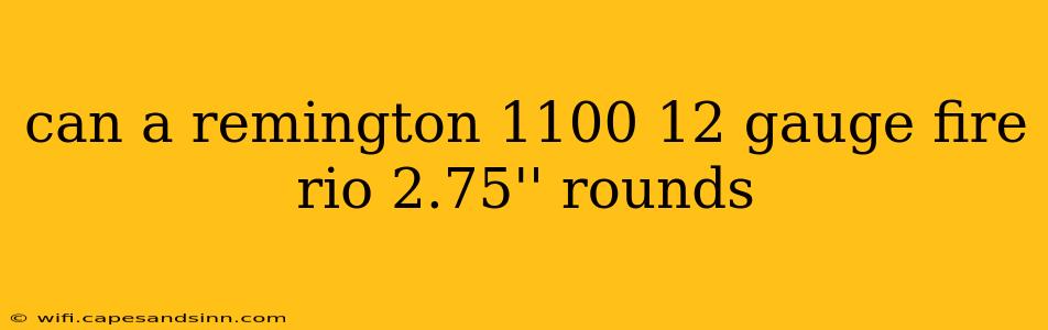 can a remington 1100 12 gauge fire rio 2.75'' rounds