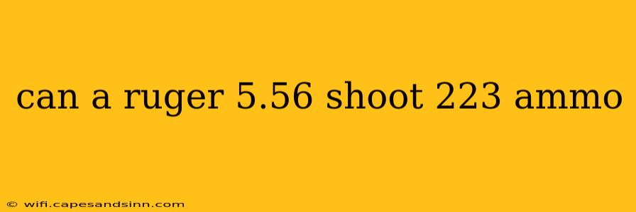 can a ruger 5.56 shoot 223 ammo