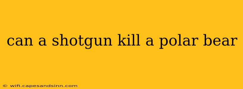 can a shotgun kill a polar bear