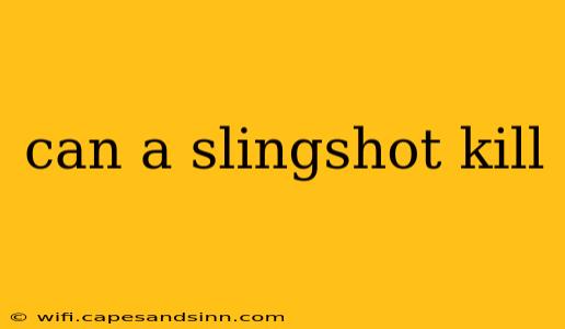 can a slingshot kill