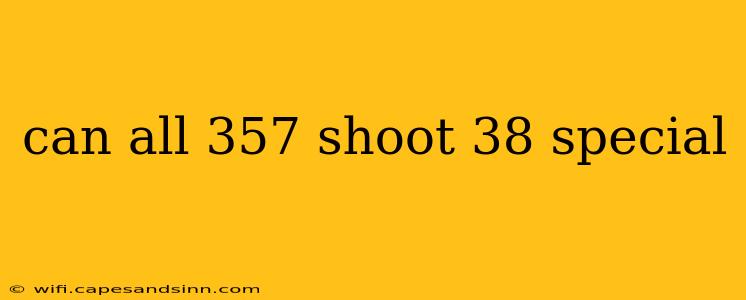 can all 357 shoot 38 special