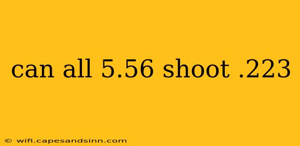 can all 5.56 shoot .223