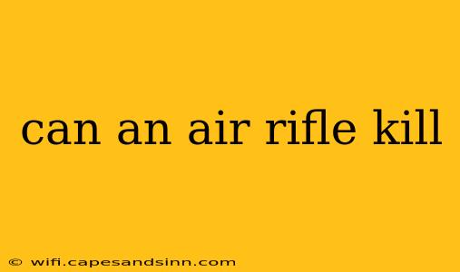 can an air rifle kill