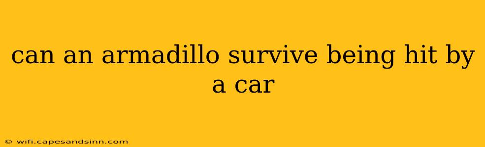 can an armadillo survive being hit by a car