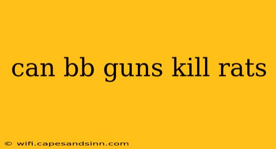 can bb guns kill rats